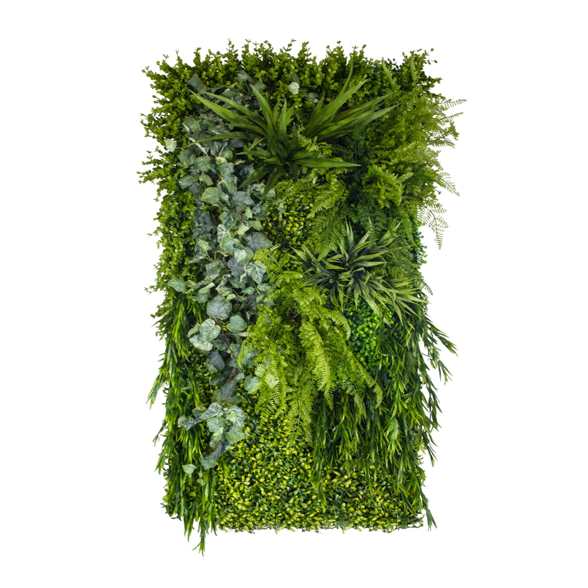 Jardin vertical alpin