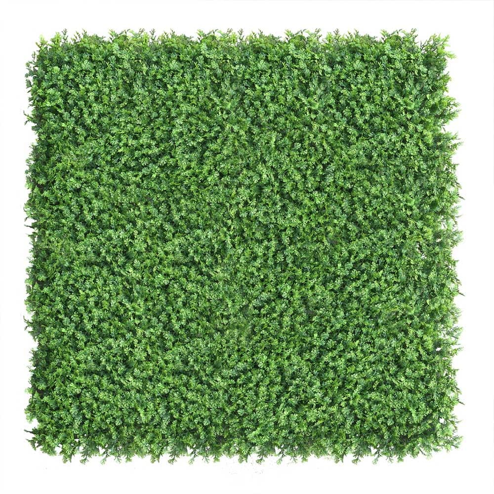 Mur végétal Thuya 50x50cm
