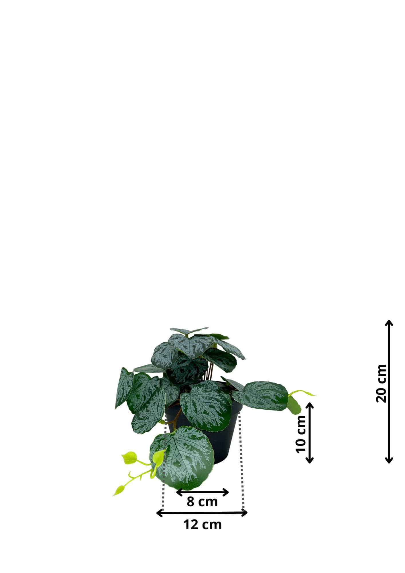 Plante Pilea artificielle 20 cm - Vert foncé