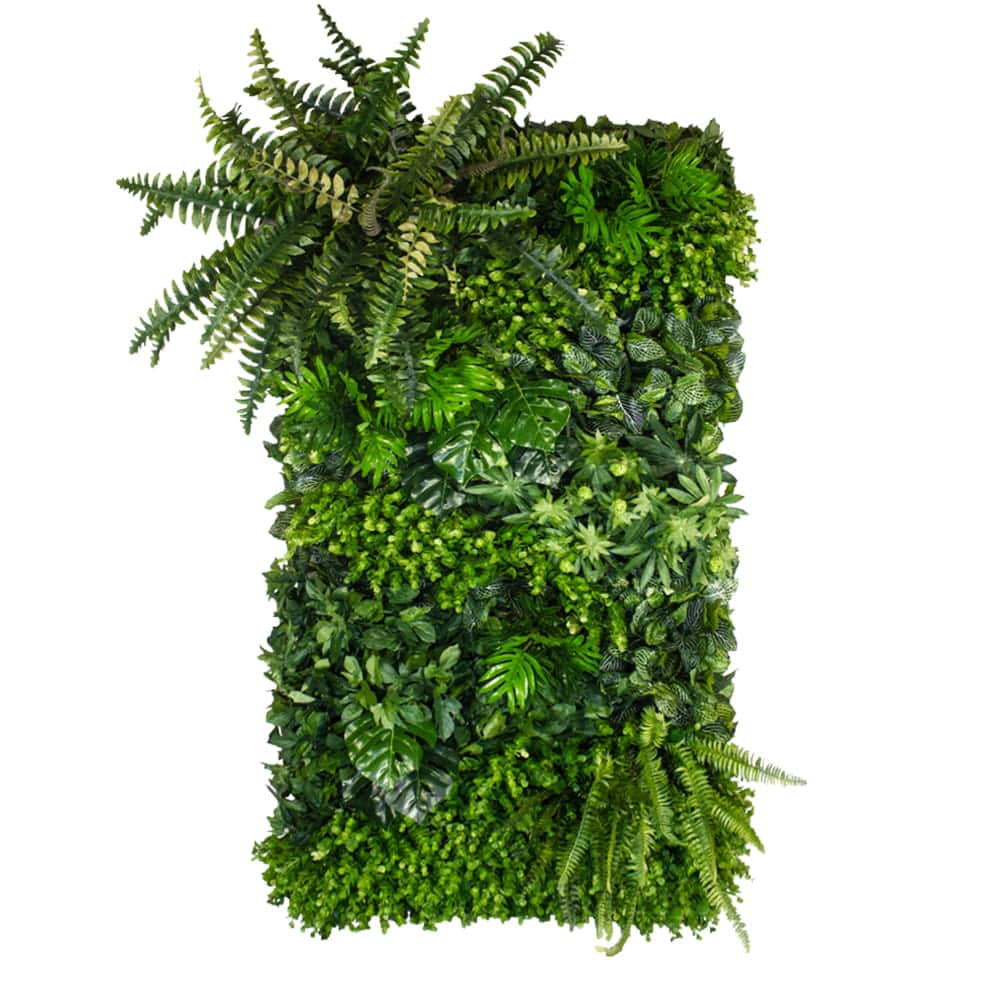 Jardin vertical de lauriers