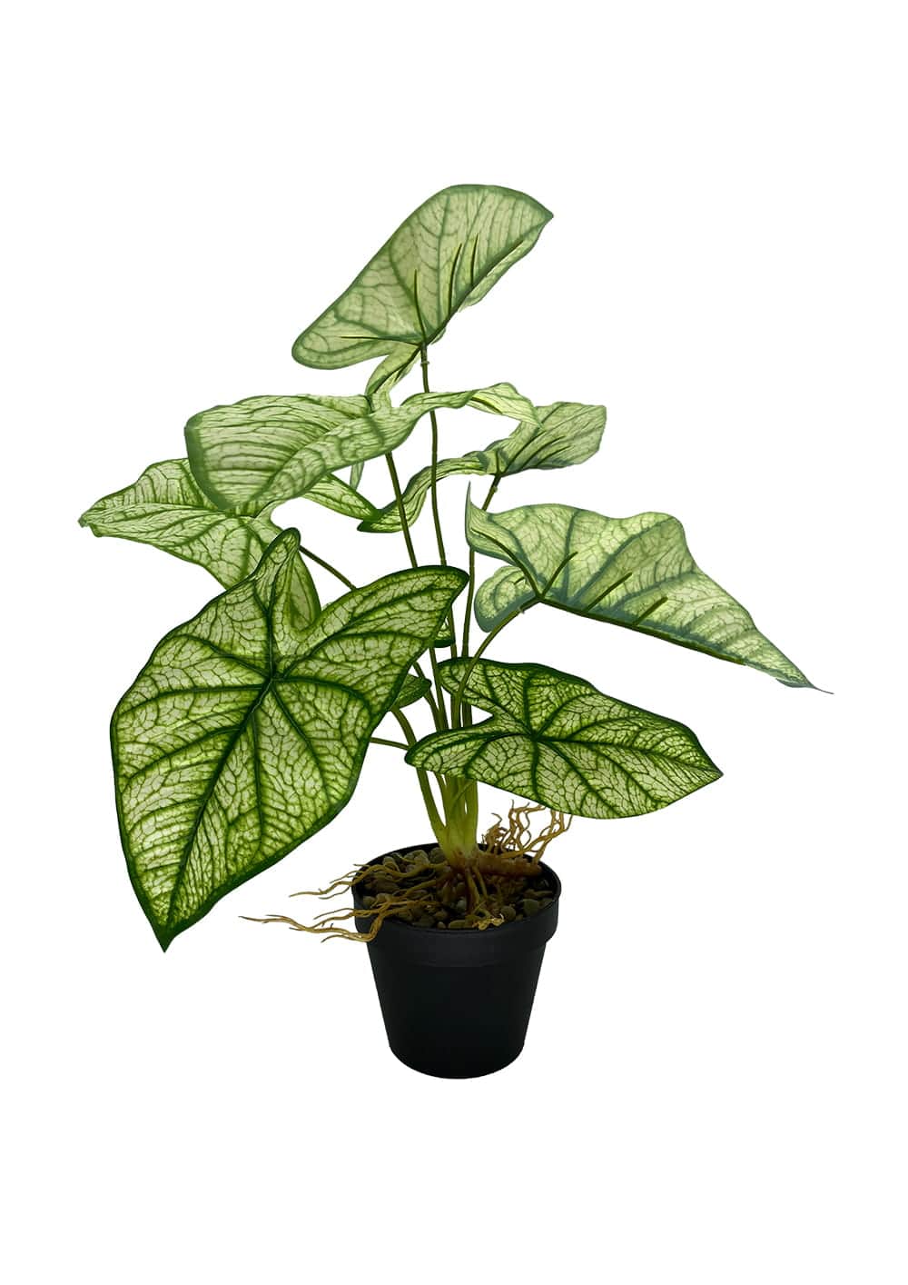 Artificial Syngonium plant 54 cm