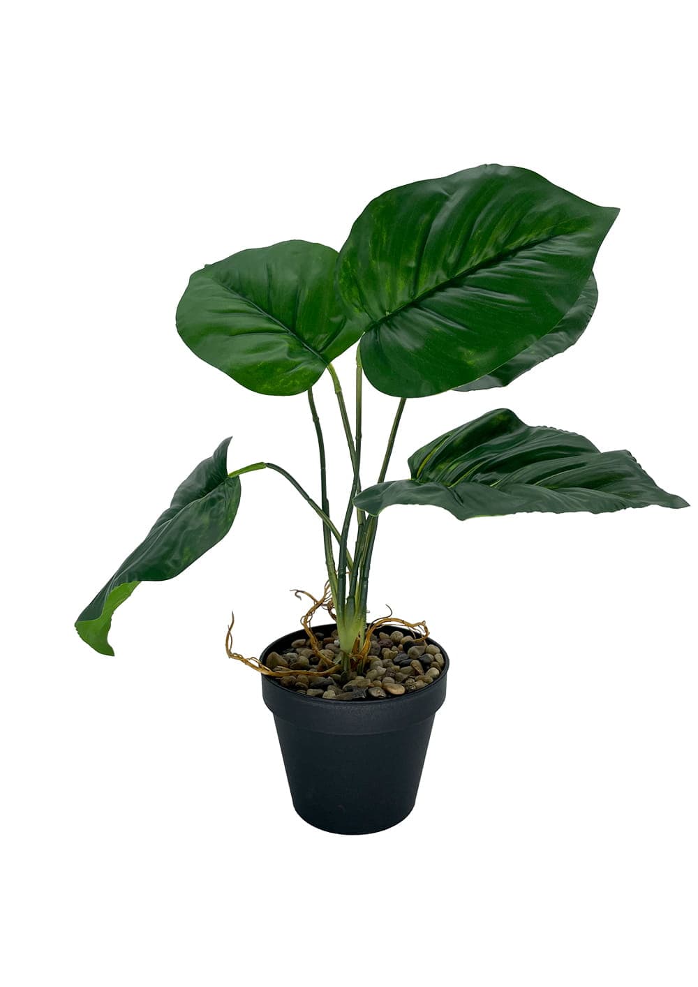 Artificial arrowroot plant 36 cm