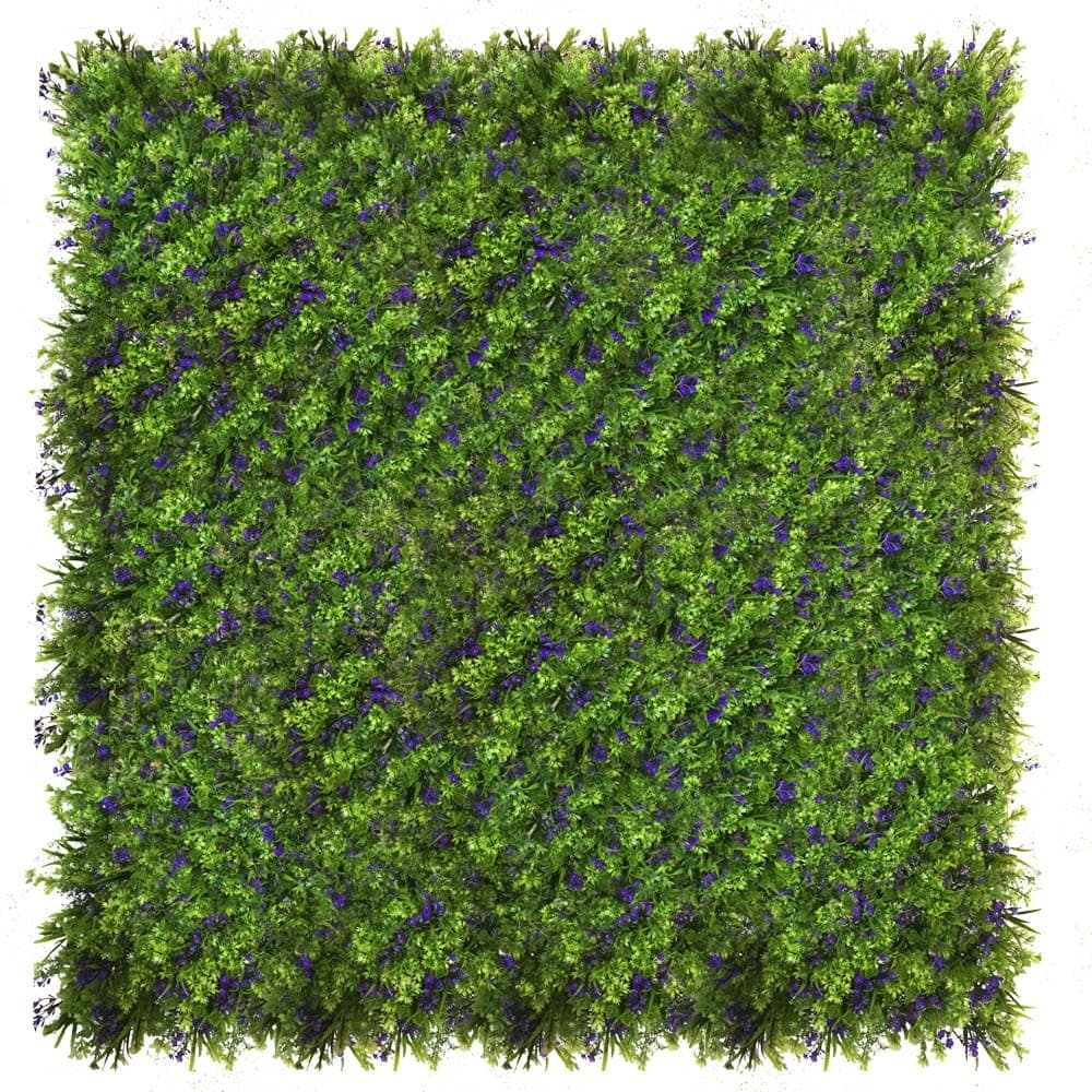 Mur végétal bleuet 50x50cm