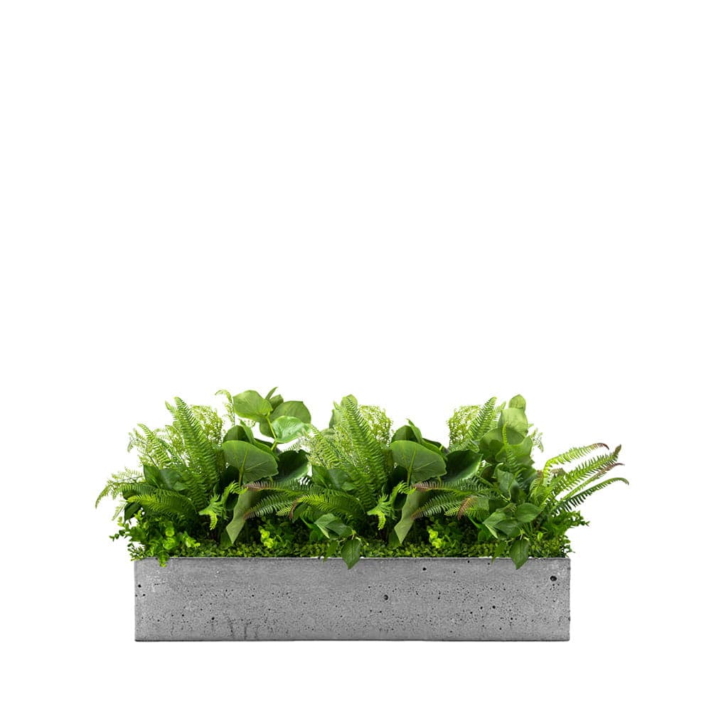Fill the Fresh Rain pot with plants