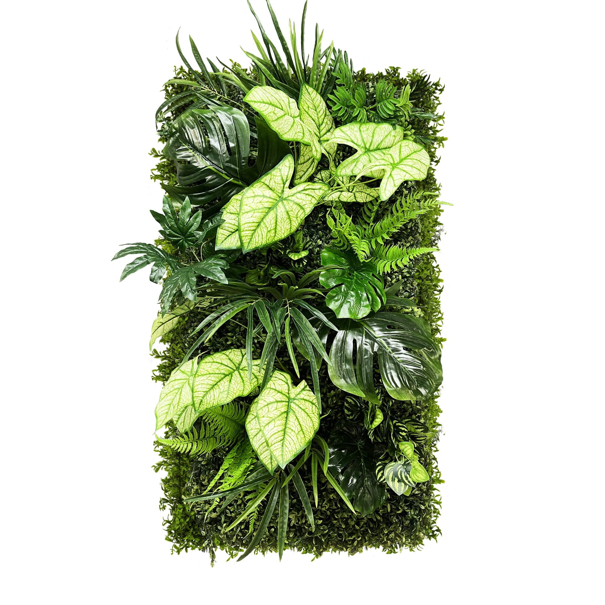 Caladium Forest Vertical Garden