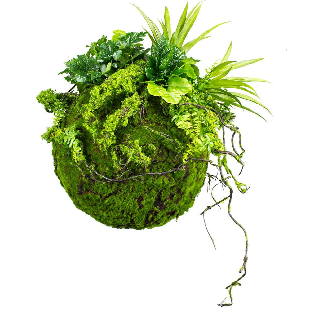 Decorative moss ball kokedama Moss Ball 35 cm