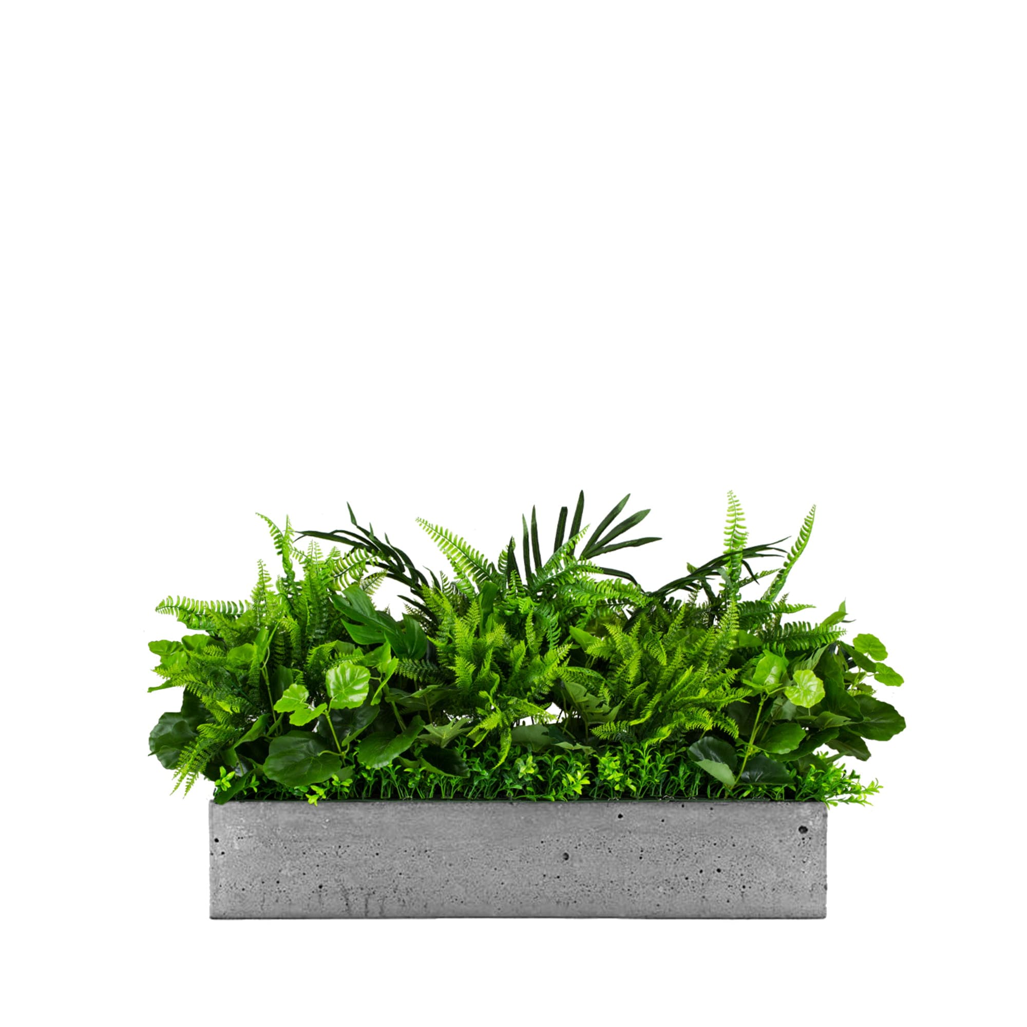 Composition for the White Sparrow pot