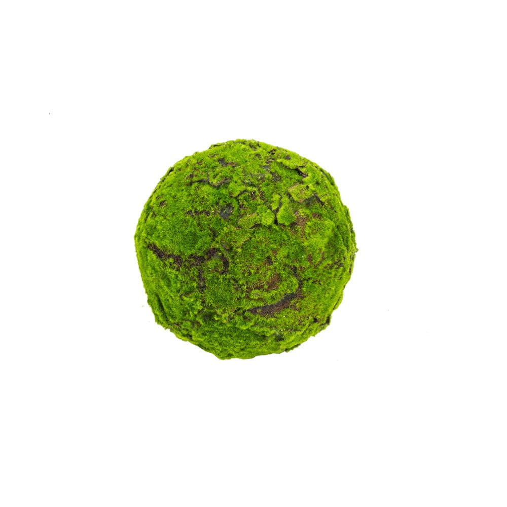 Decorative moss ball Moss ball 25 cm