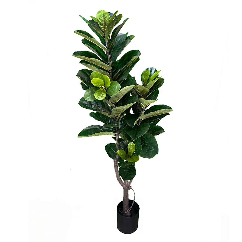 Plante Ficus artificielle 180cm – Green Designers