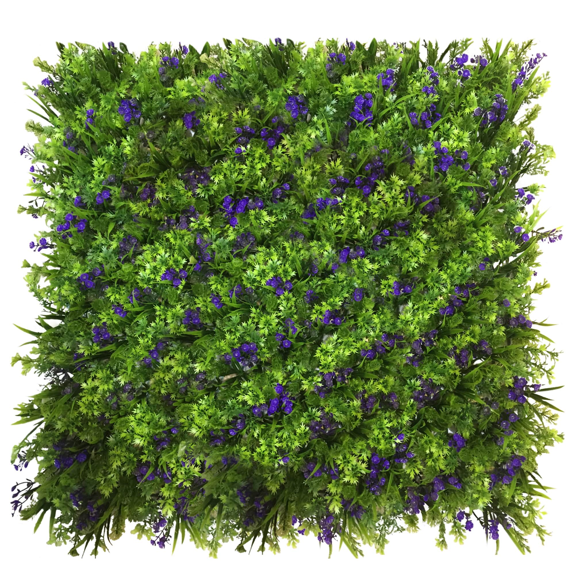 Mur végétal bleuet 50x50cm