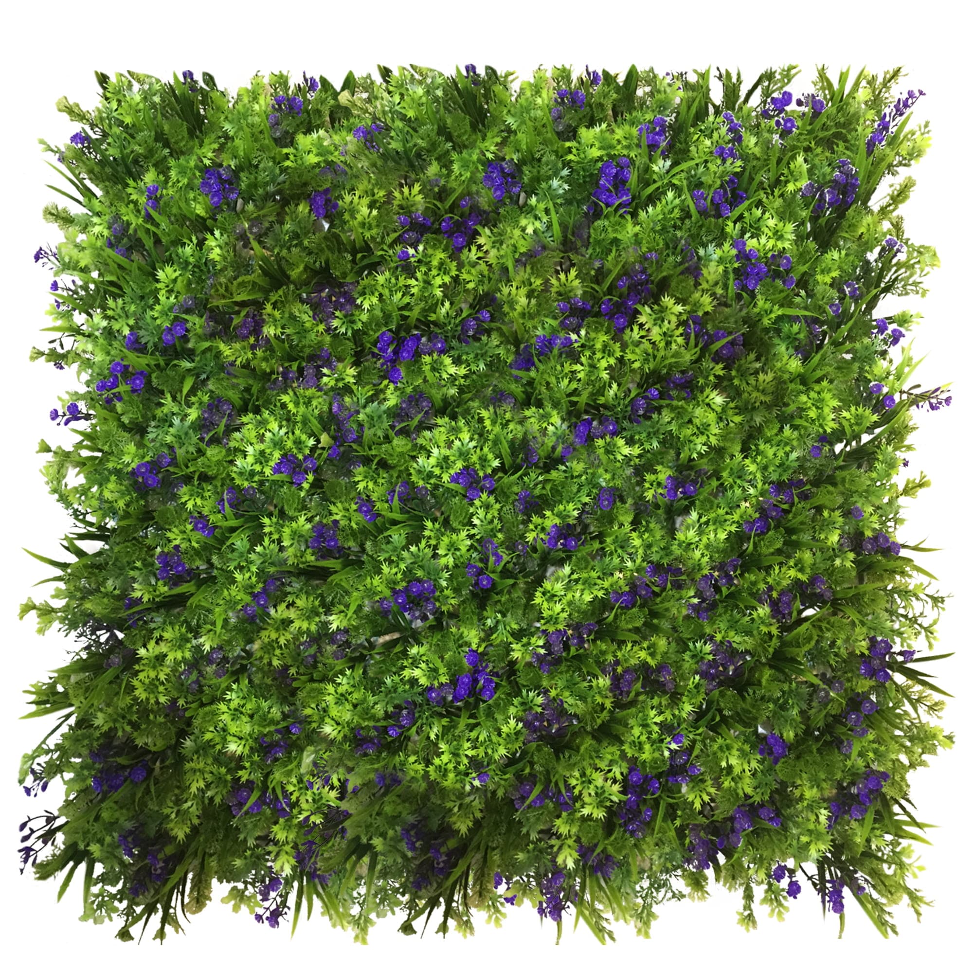 Cornflower plant wall 50x50cm