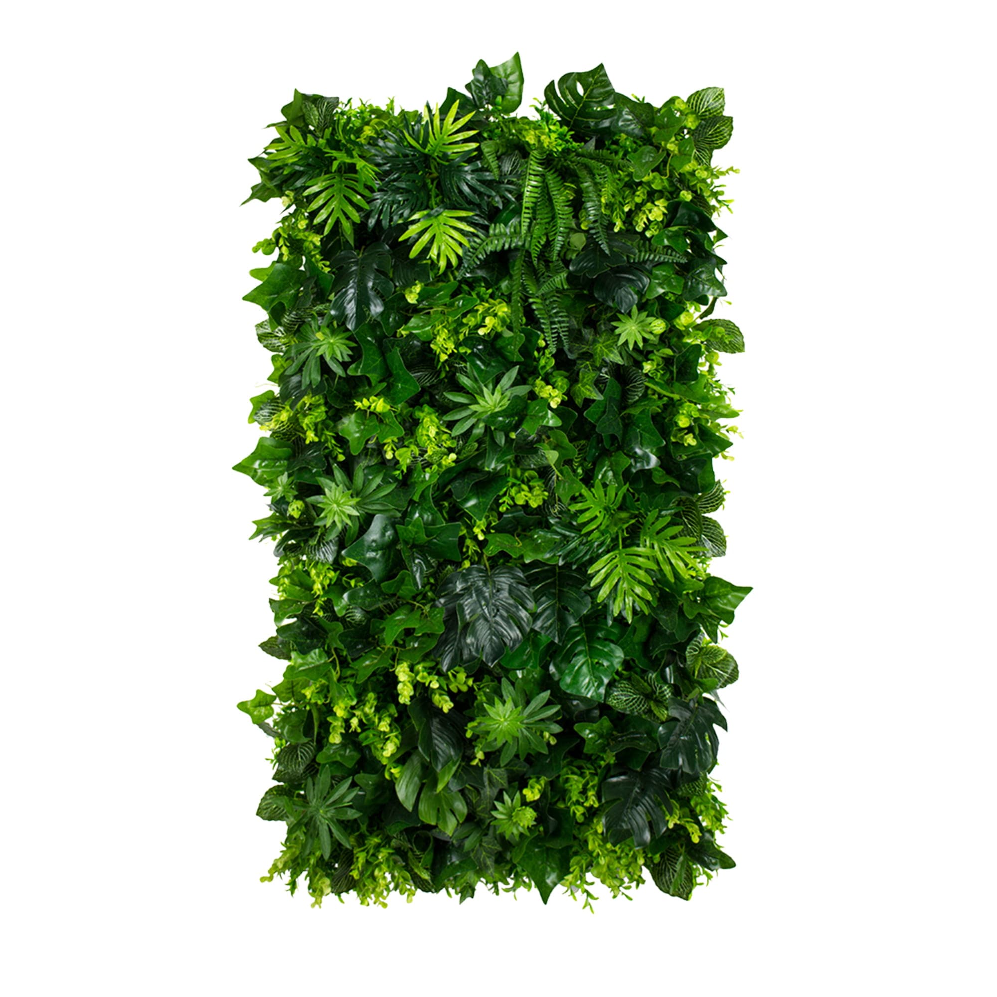 Vertical Garden Heart of Jungle