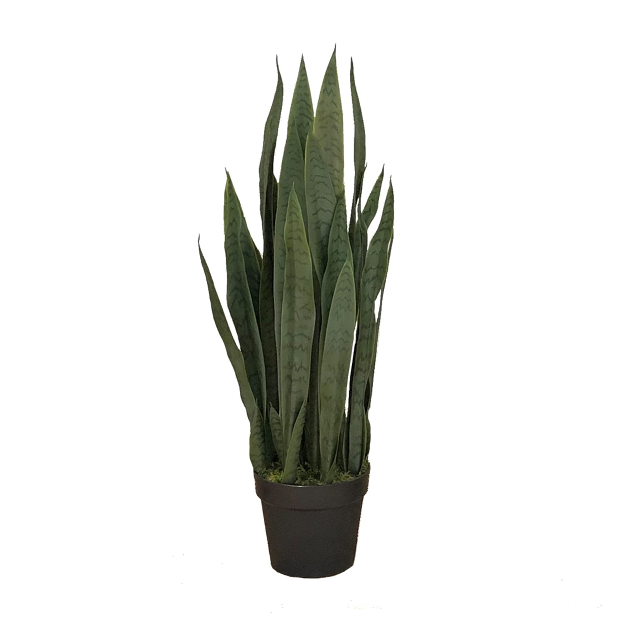 Artificial plant Sansevieria Zelenica 90cm
