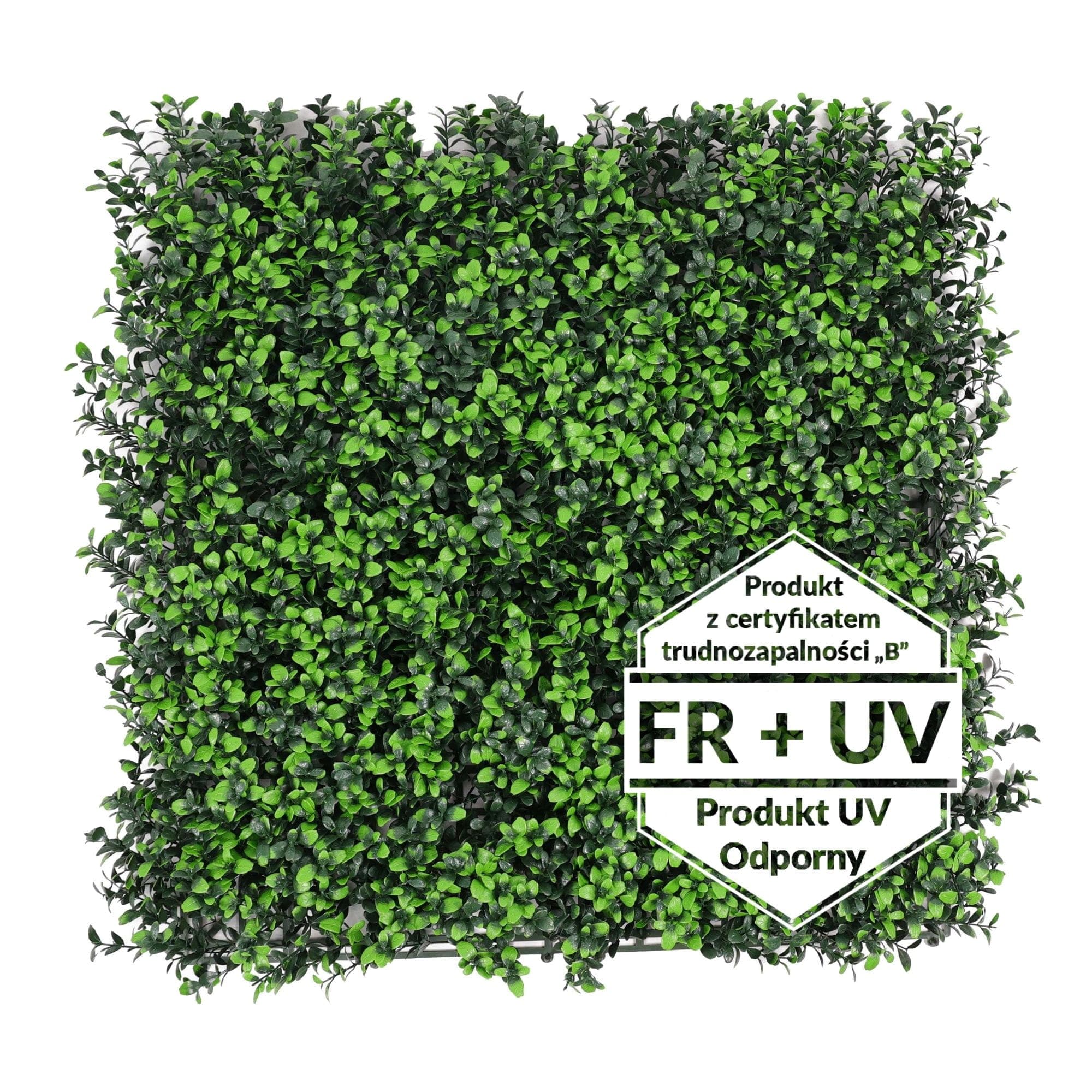 Artificial green carpet Blueberry FR UV - B 50x50cm