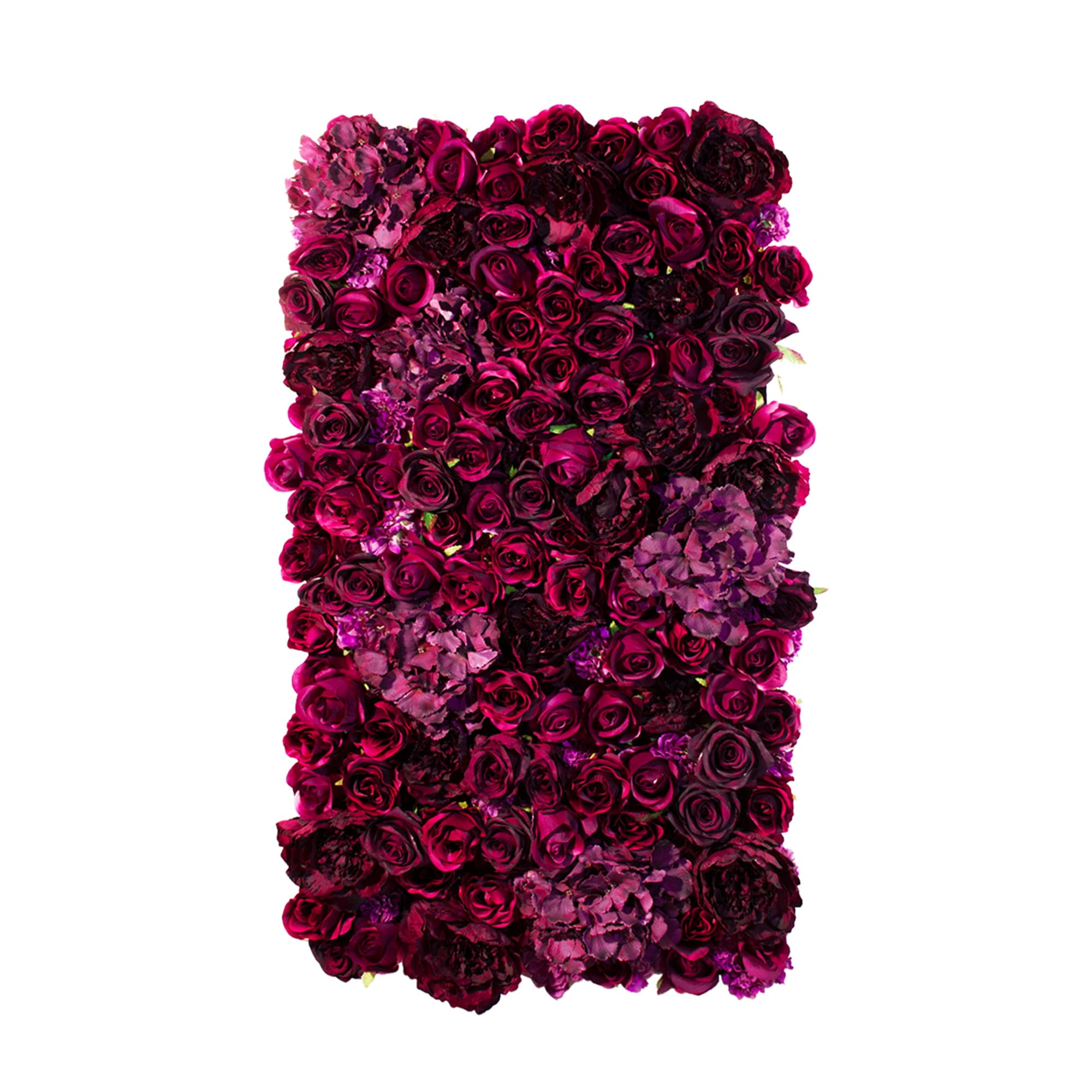 American Dream Rose Wall