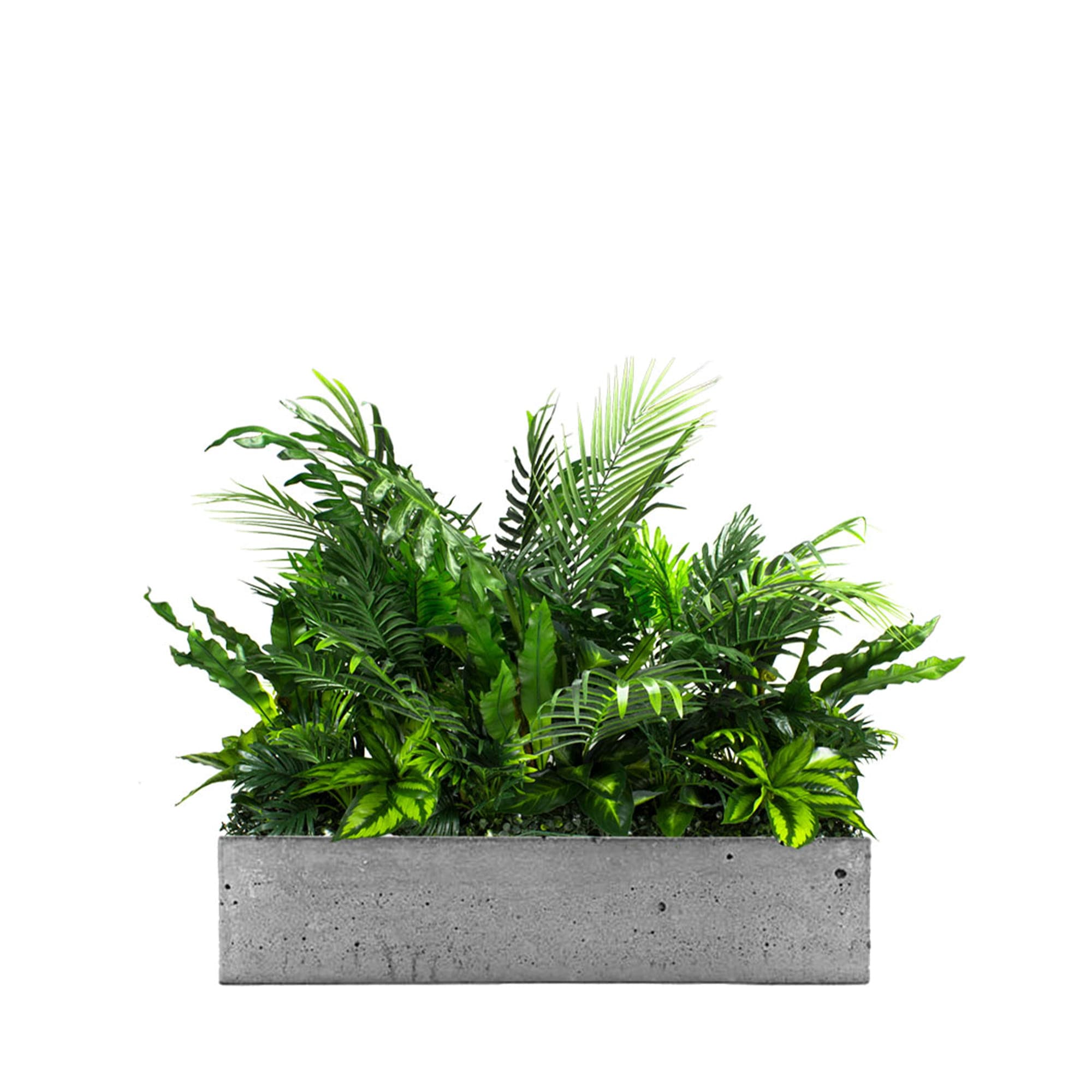 Fill the Season Surf pot with plants