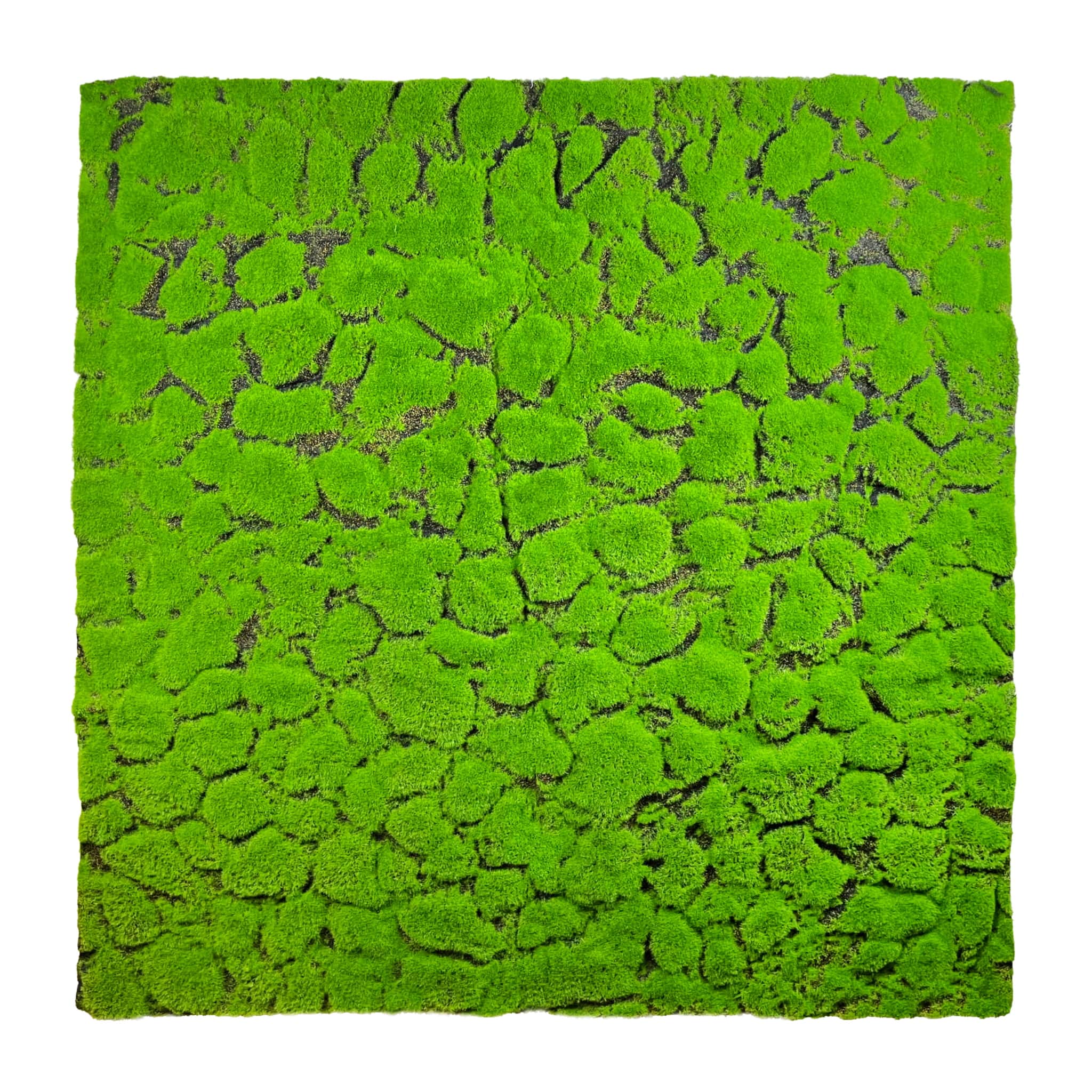 Mousse de coussin artificielle 100x100cm