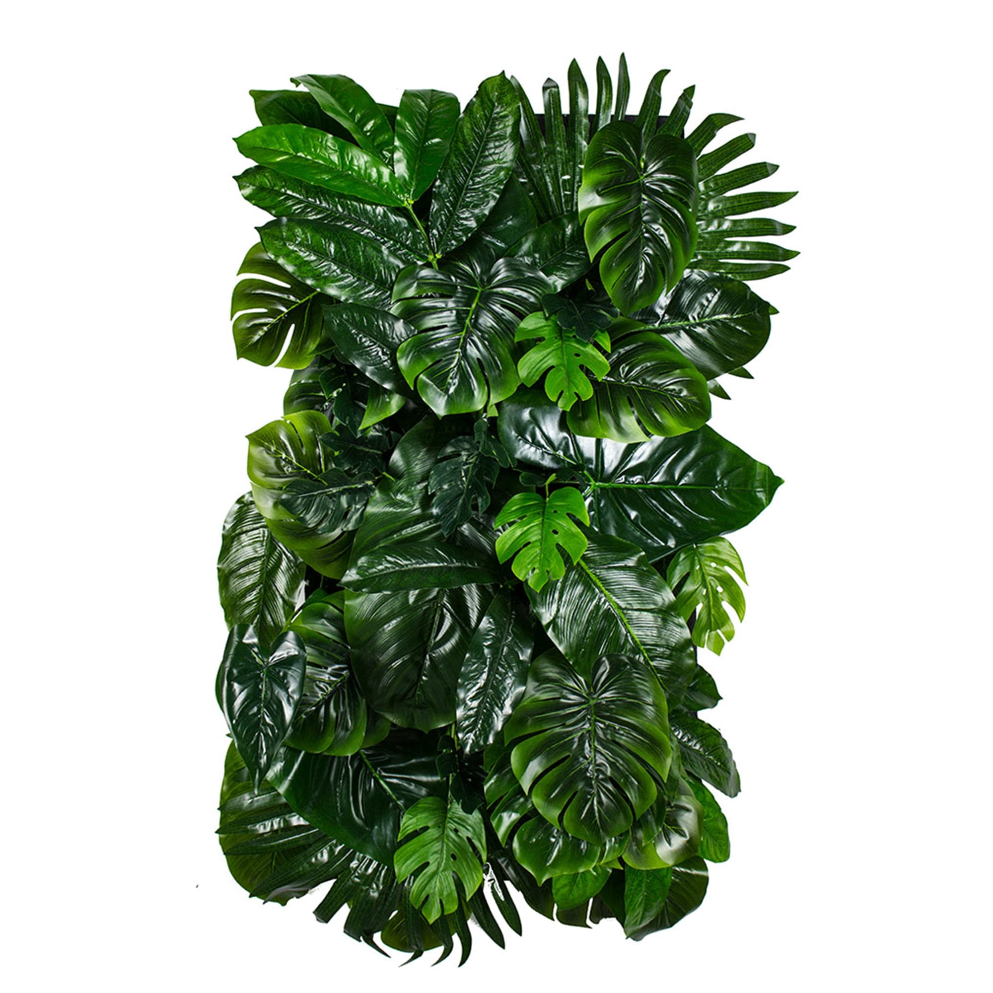 Monstera Madness Vertical Garden
