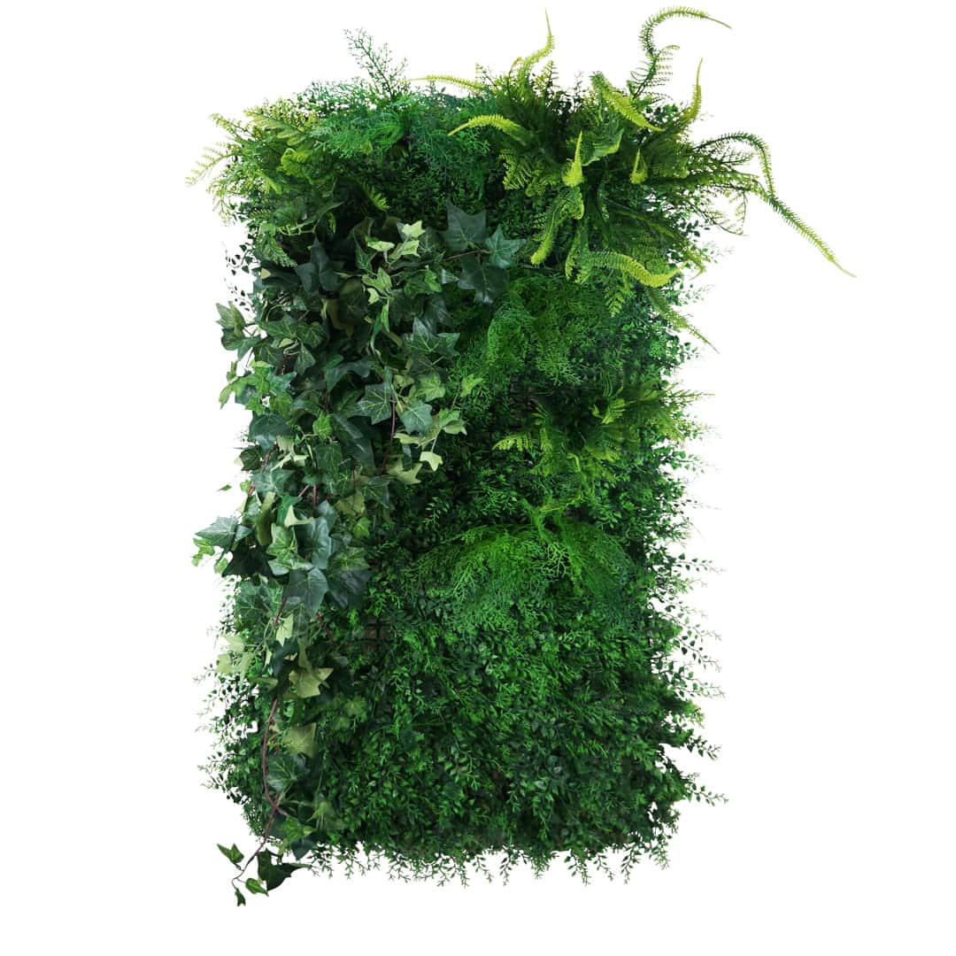 Jardin vertical sombre et moussu