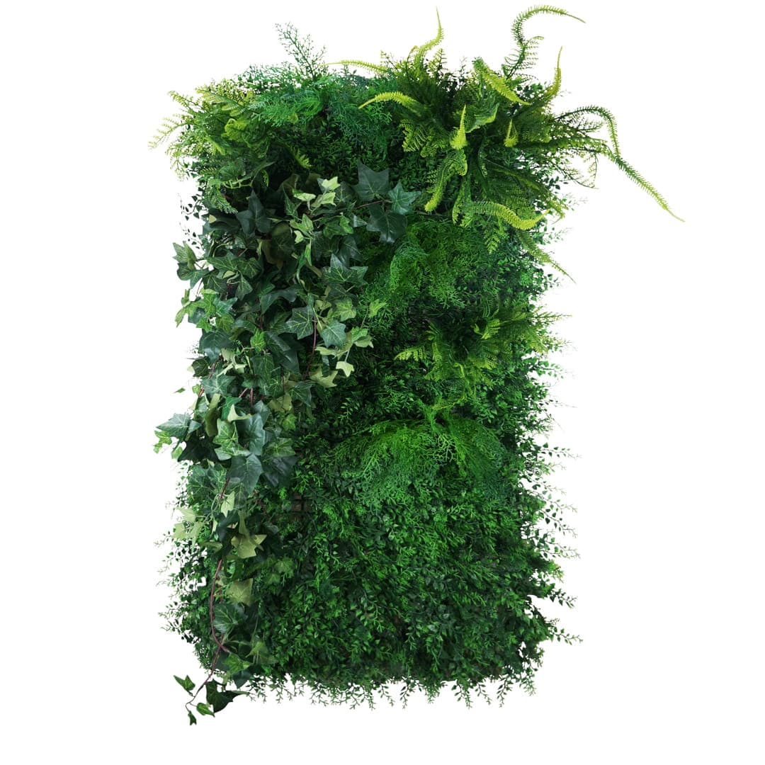 Dark and mossy vertical garden