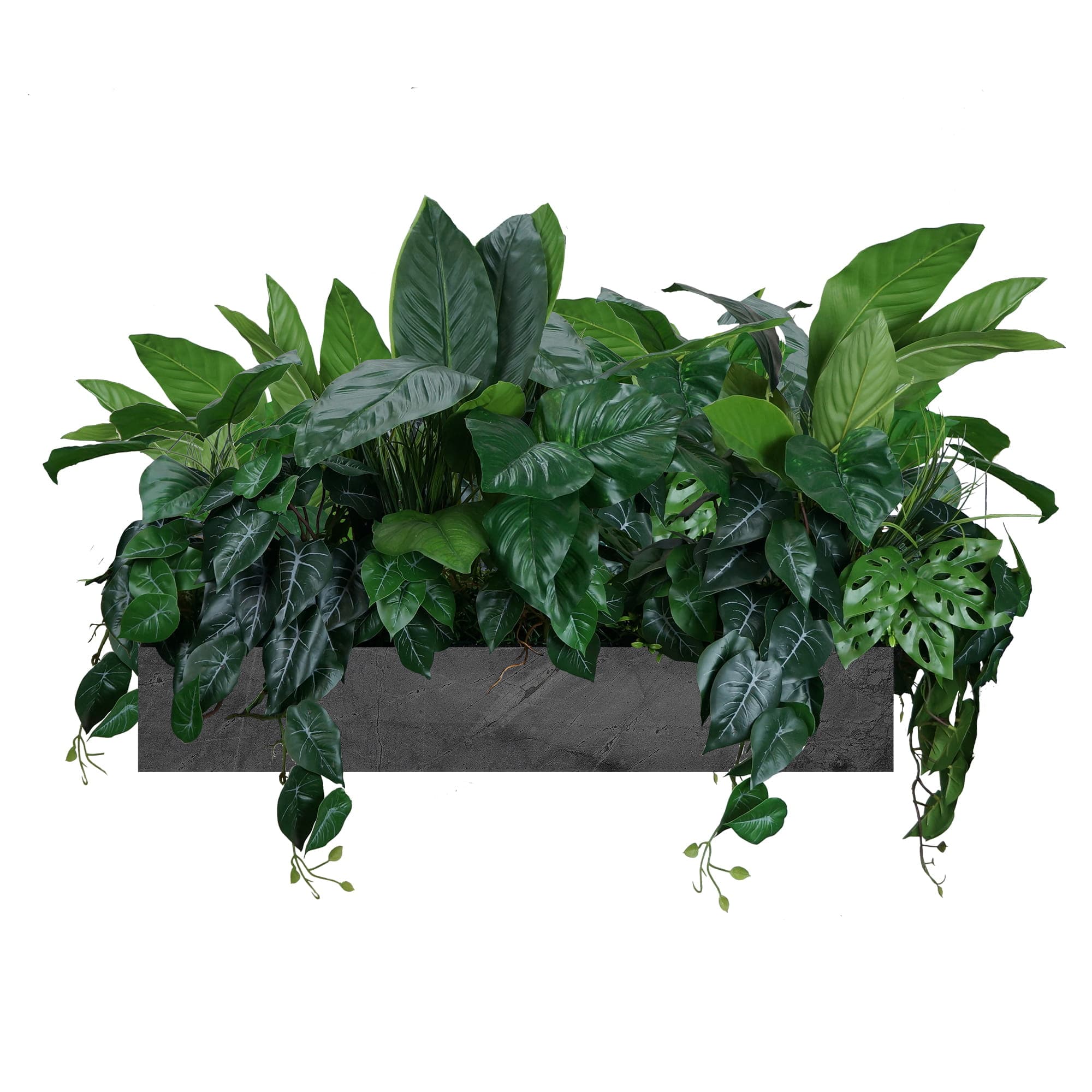 Composition pour le pot Foire Exotique
