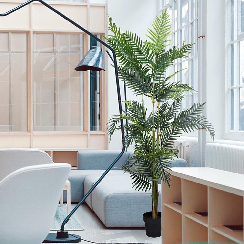 Plante décorative Palmier Lutescens 180 cm