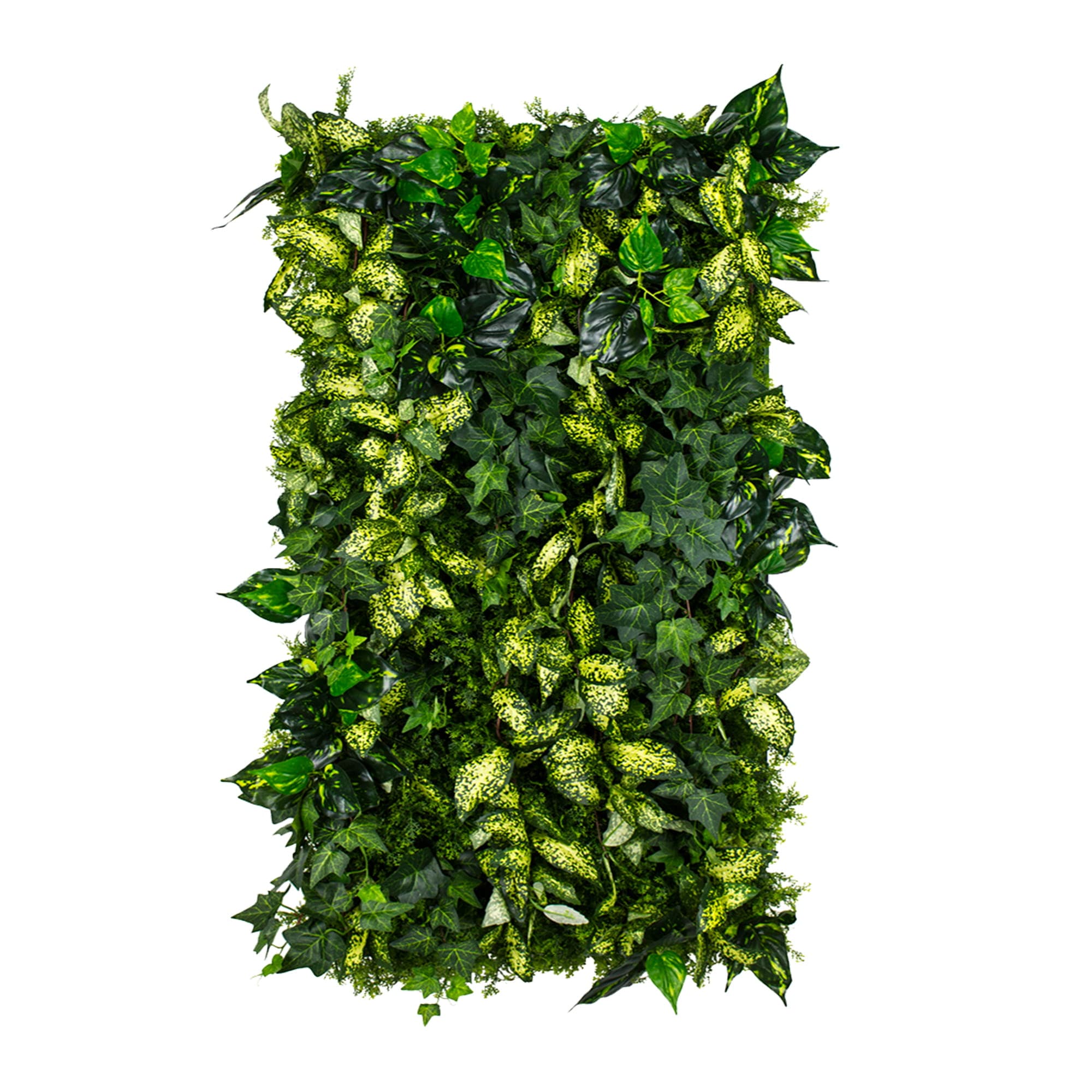 Cultivated Ivy Vertical Garden