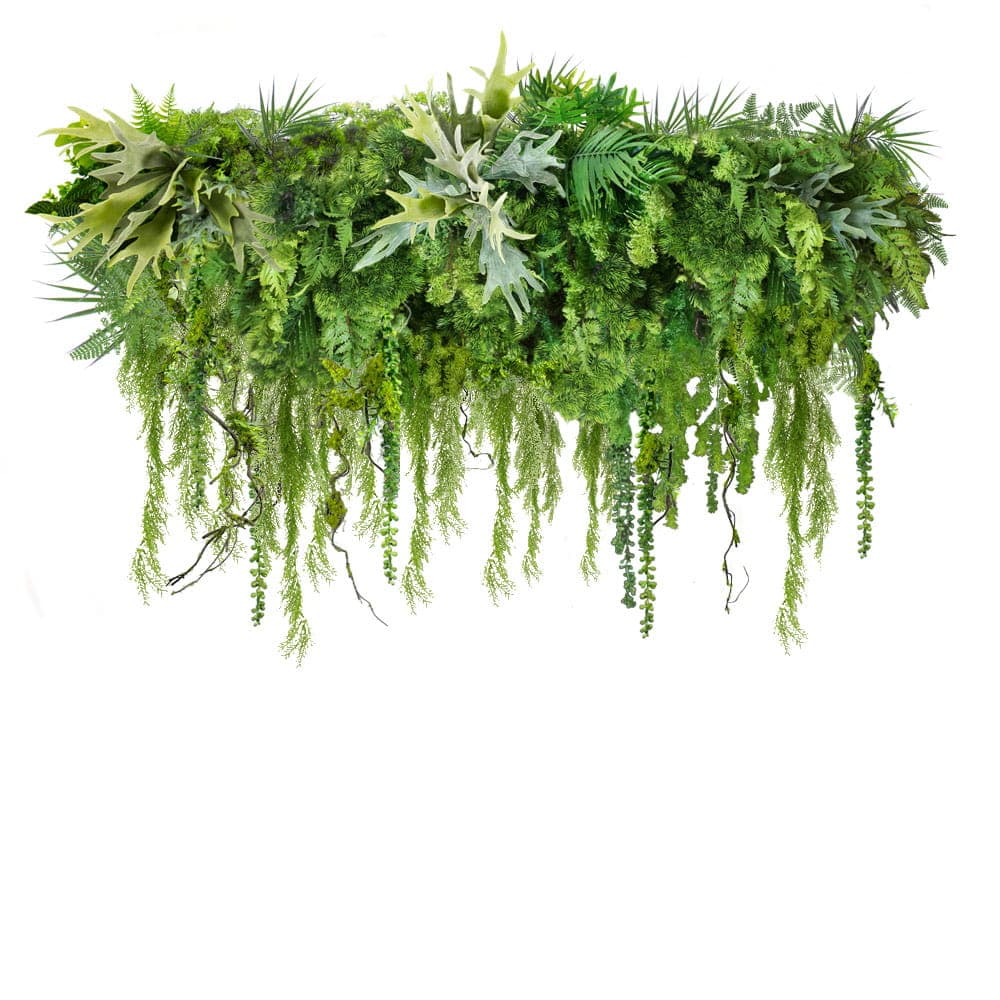 Forest Scent S plant hoop