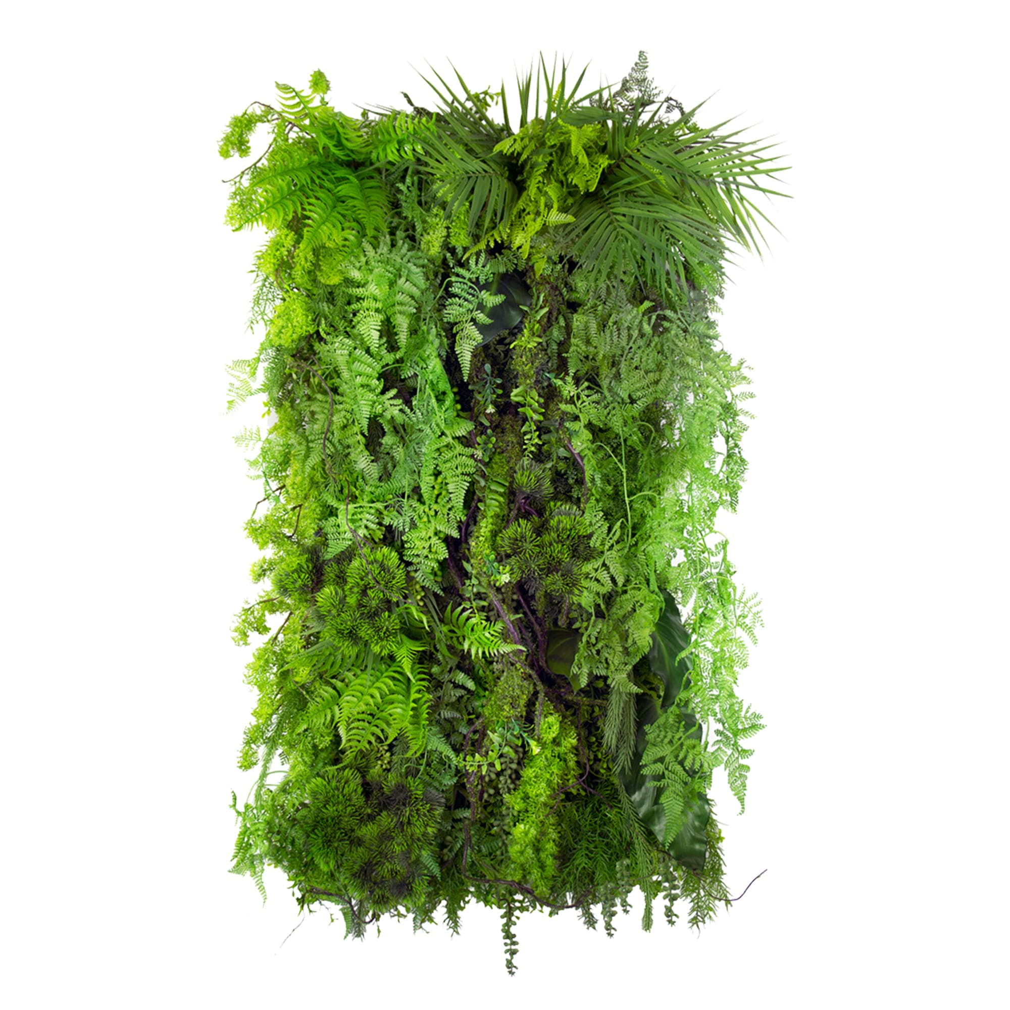 Limba Wilderness Vertical Garden