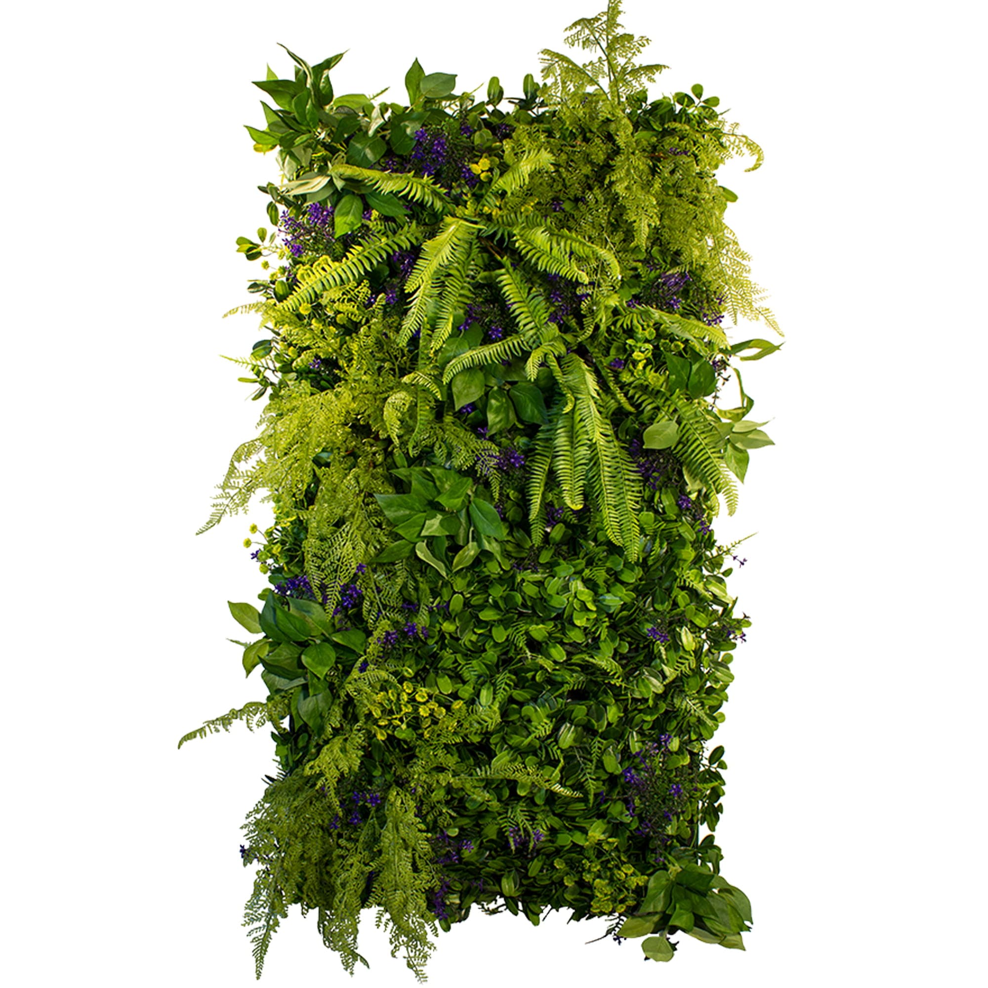 Secret Garden vertical garden