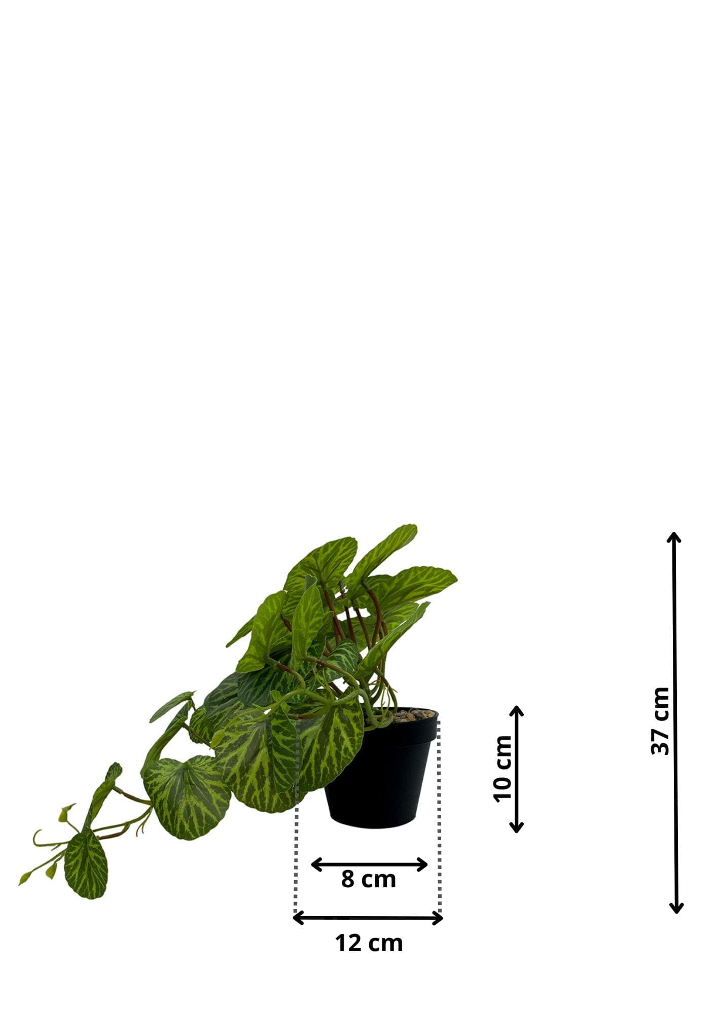 Plante Pilea artificielle 37 cm