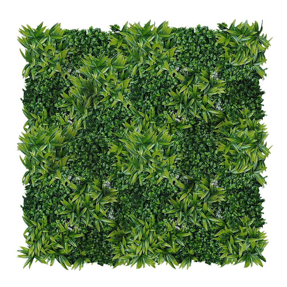 Mur végétal Citronnier 50x50cm