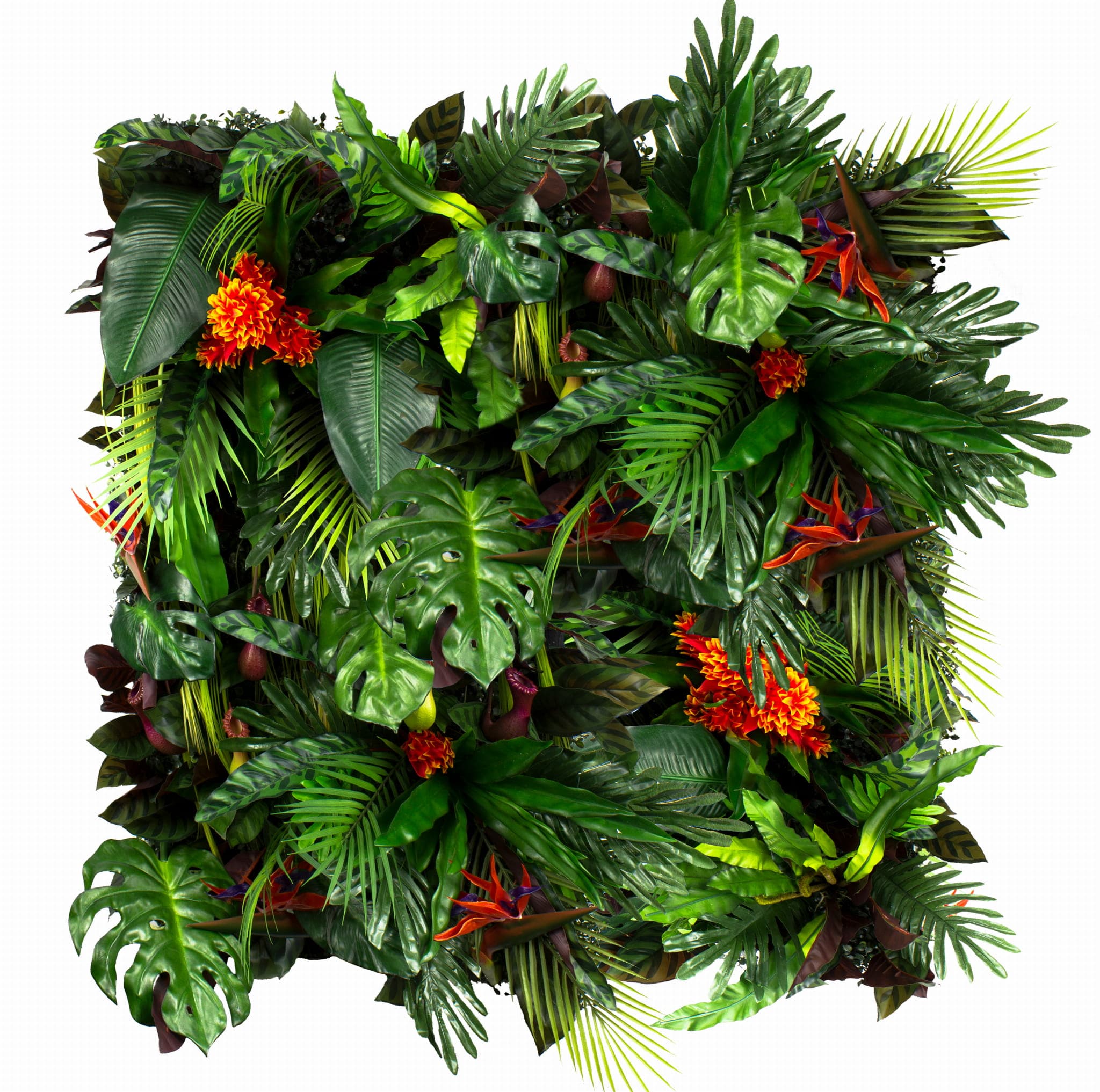 Jardin vertical de colibri
