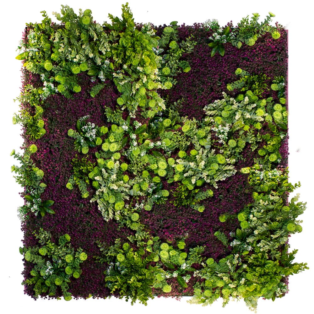 Jardin vertical Purple Haze