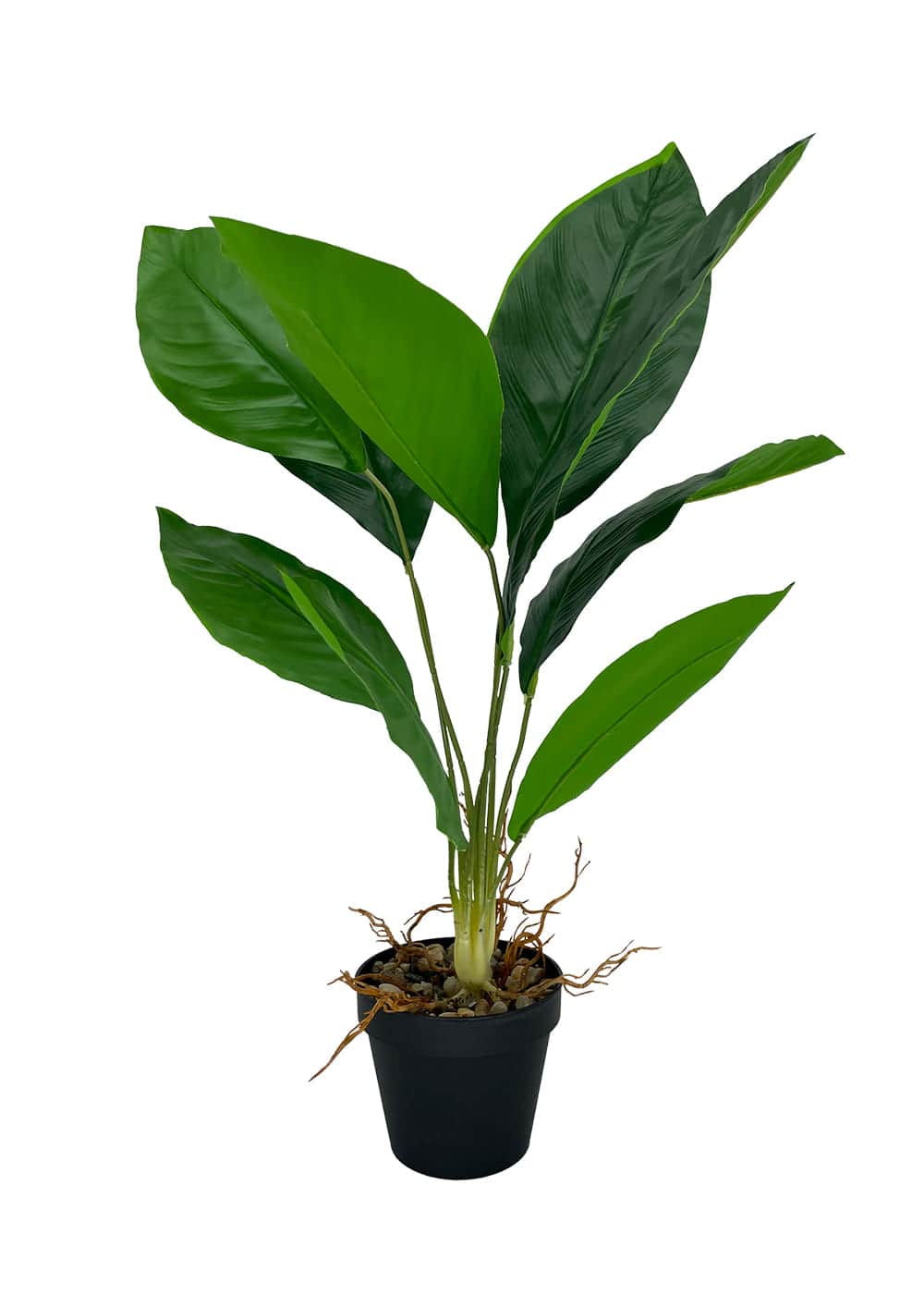Plante artificielle Aspidistra 62 cm