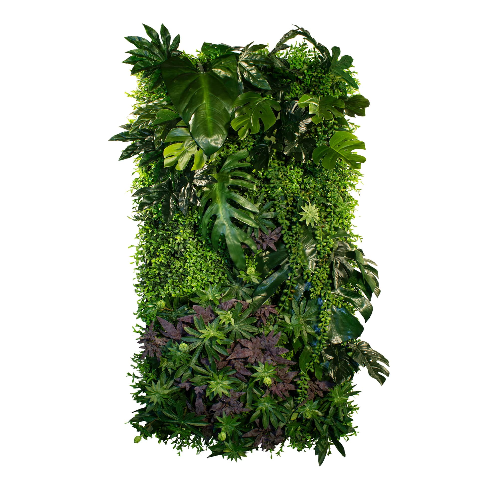 Jardin vertical Paradise Lining