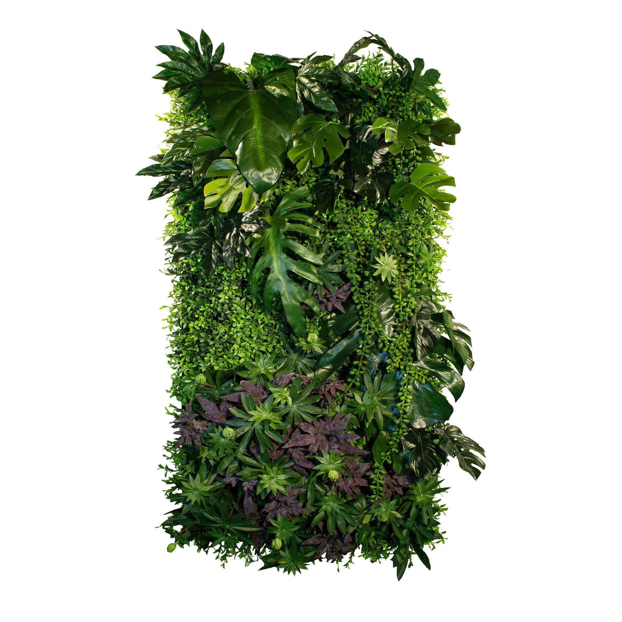 Paradise Lining Vertical Garden