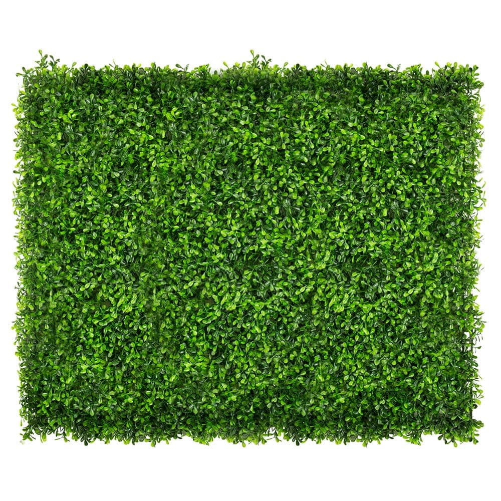 Mur végétal Vert Millepertuis 50x50cm