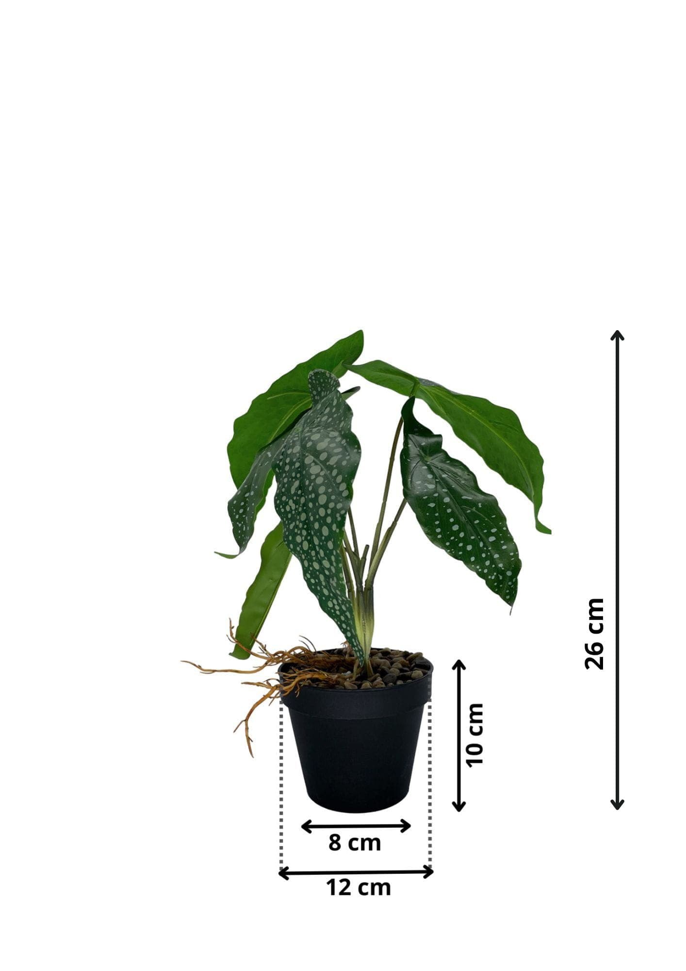 Plante Bégonia artificielle 26 cm