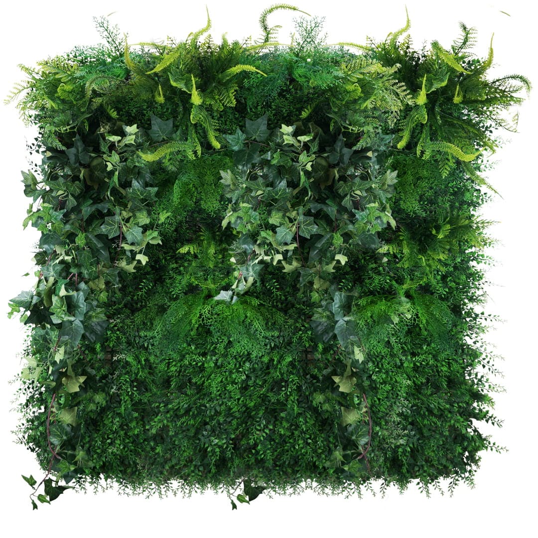 Jardin vertical sombre et moussu