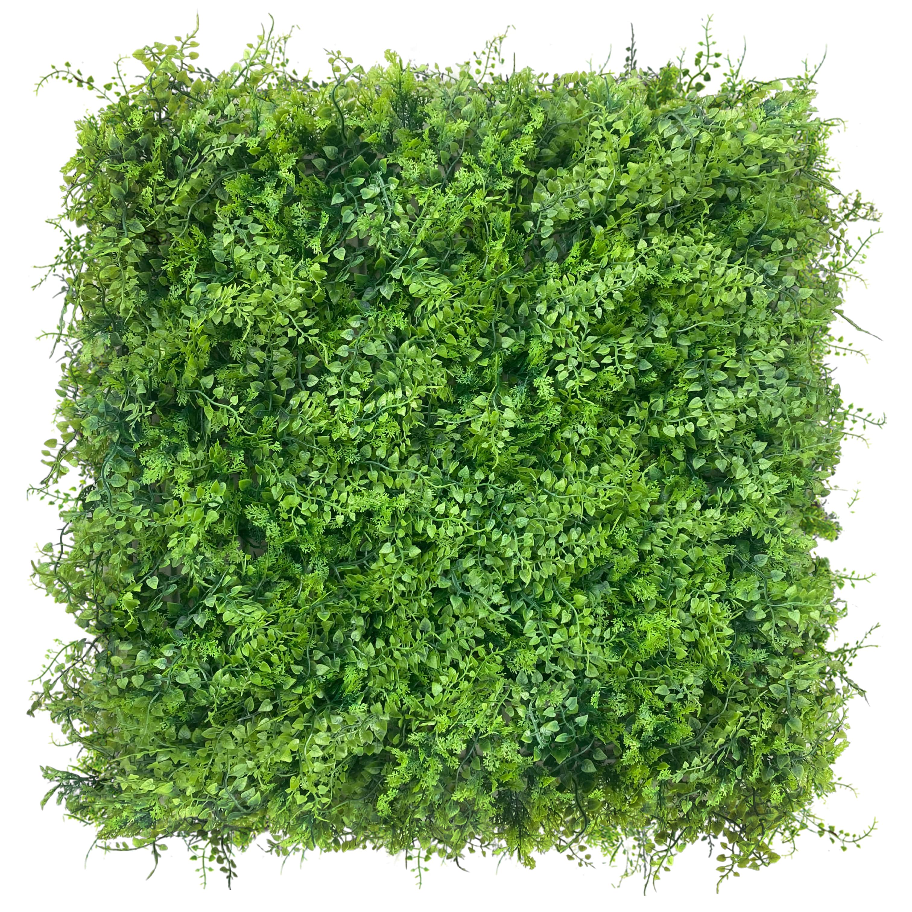 Mur végétal Znakocica 50x50cm