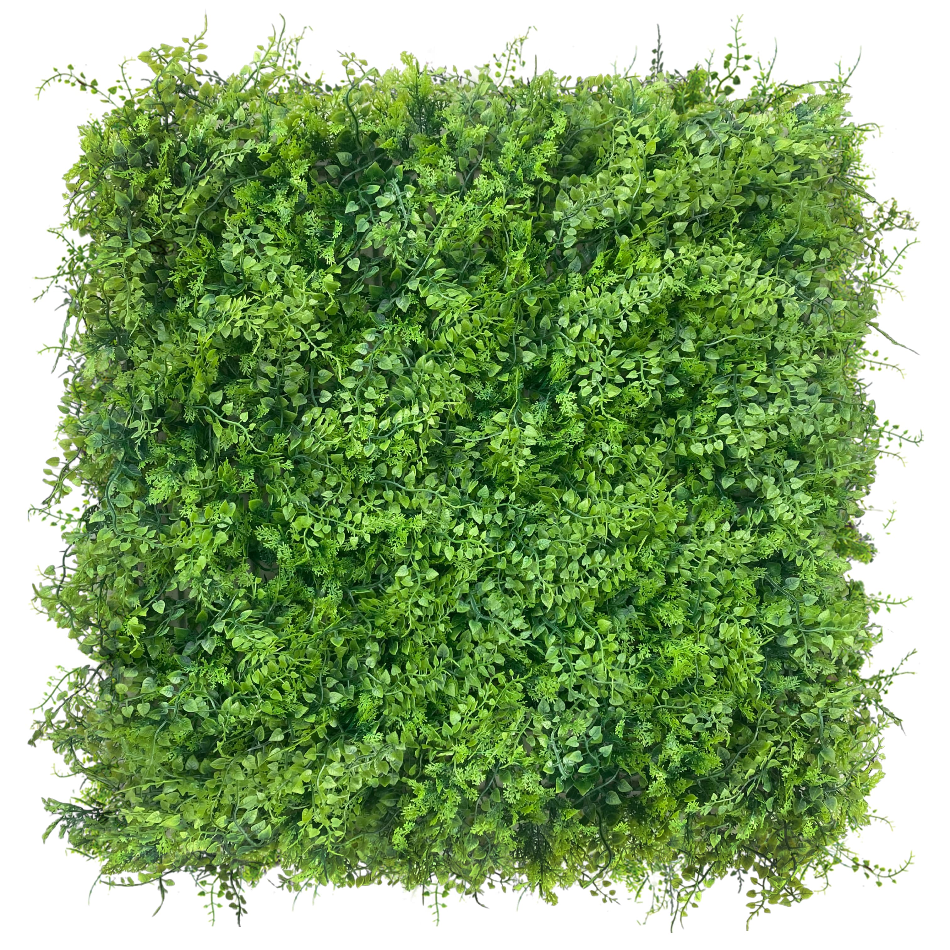 Green wall Znakocica 50x50cm