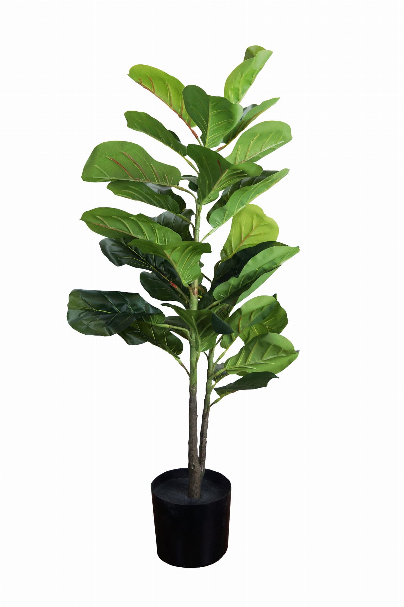 Plante décorative Ficus 90cm