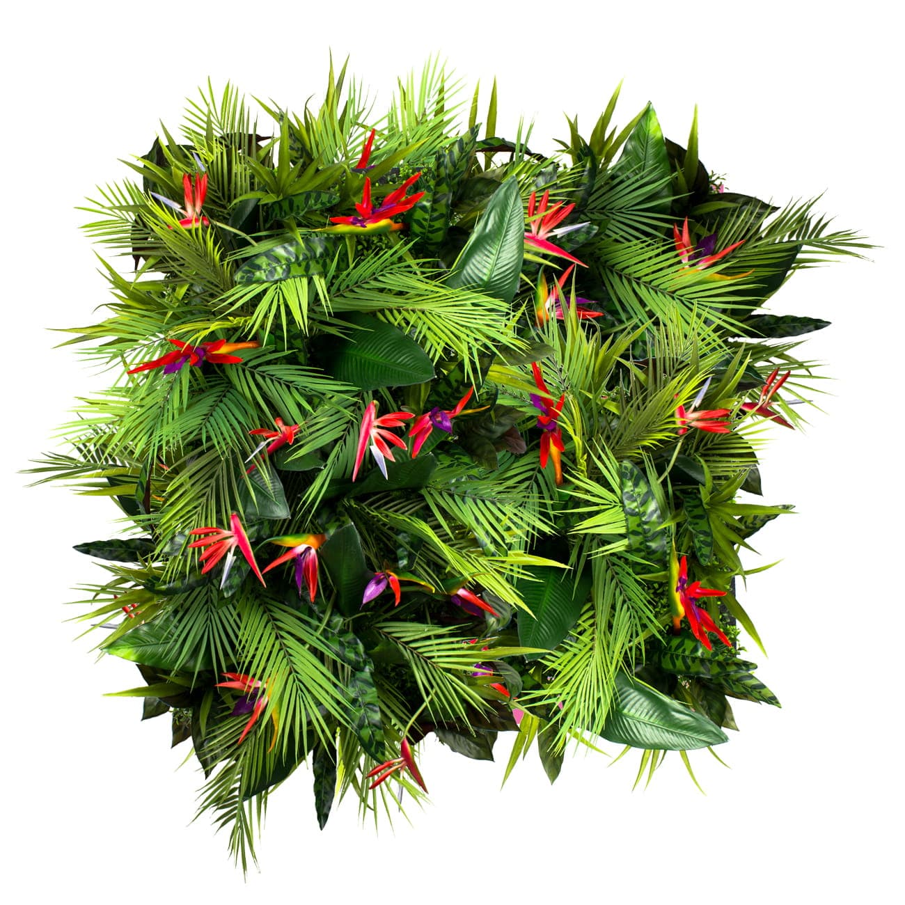 Jardin vertical fruit de la passion