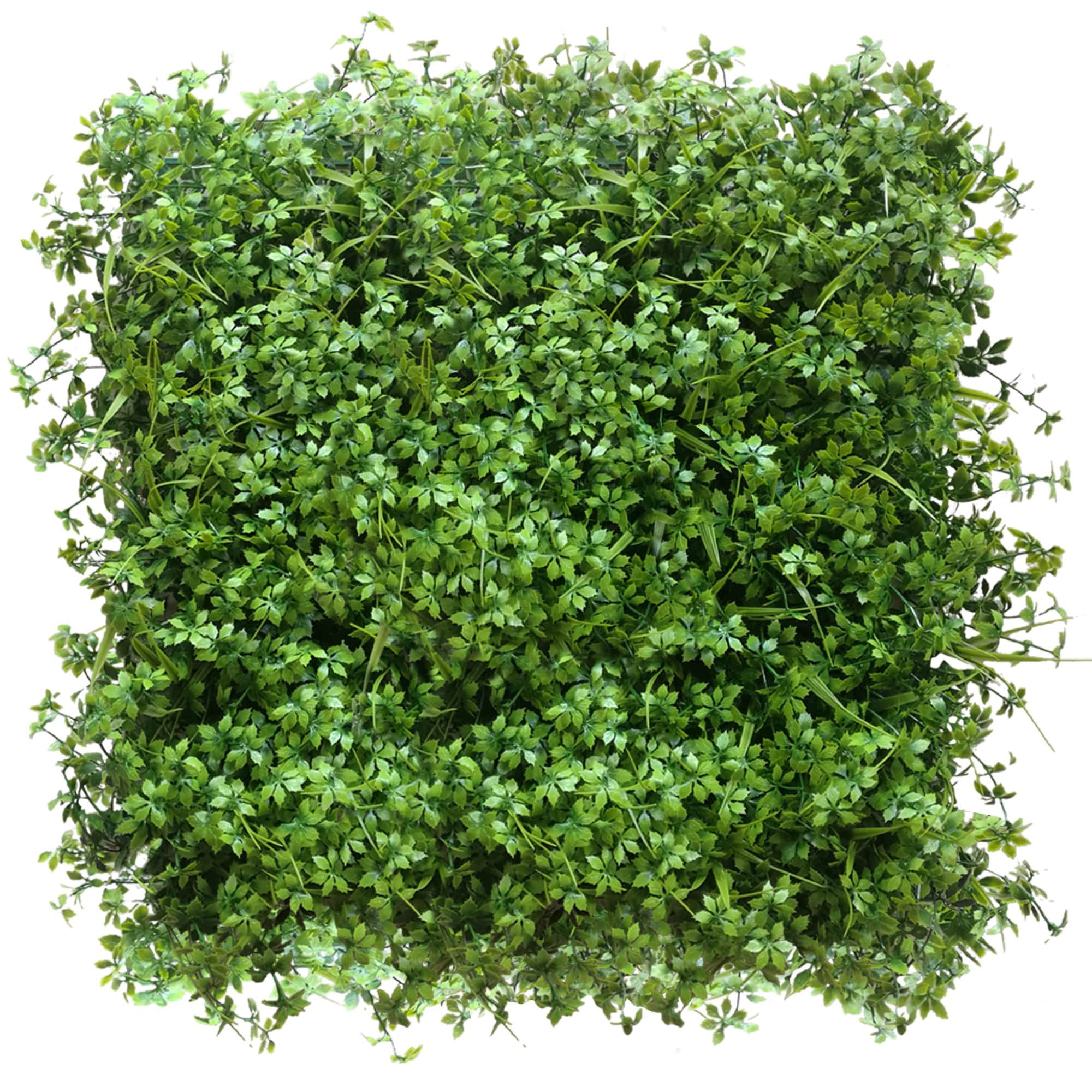 Lavaggio da parete verde 50x50cm