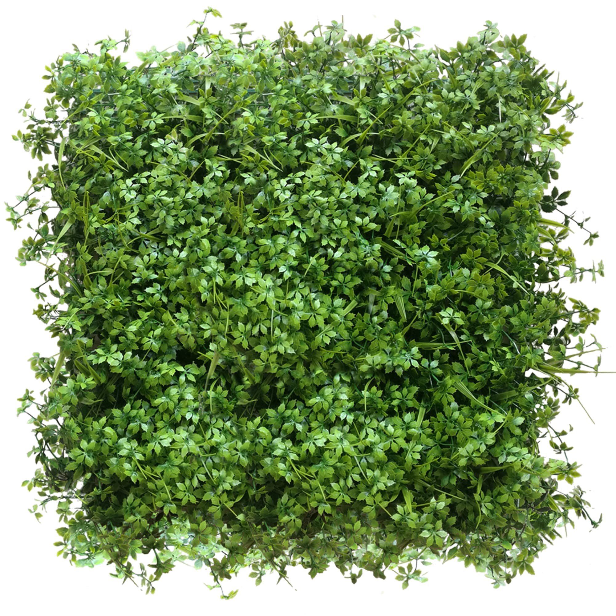 Green wall Washing 50x50cm