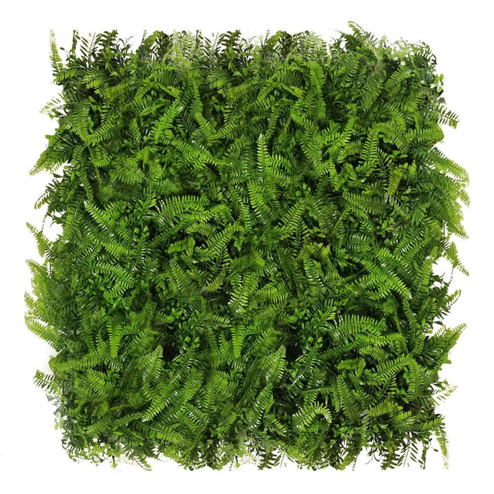 Paprotnik green wall 50x50cm