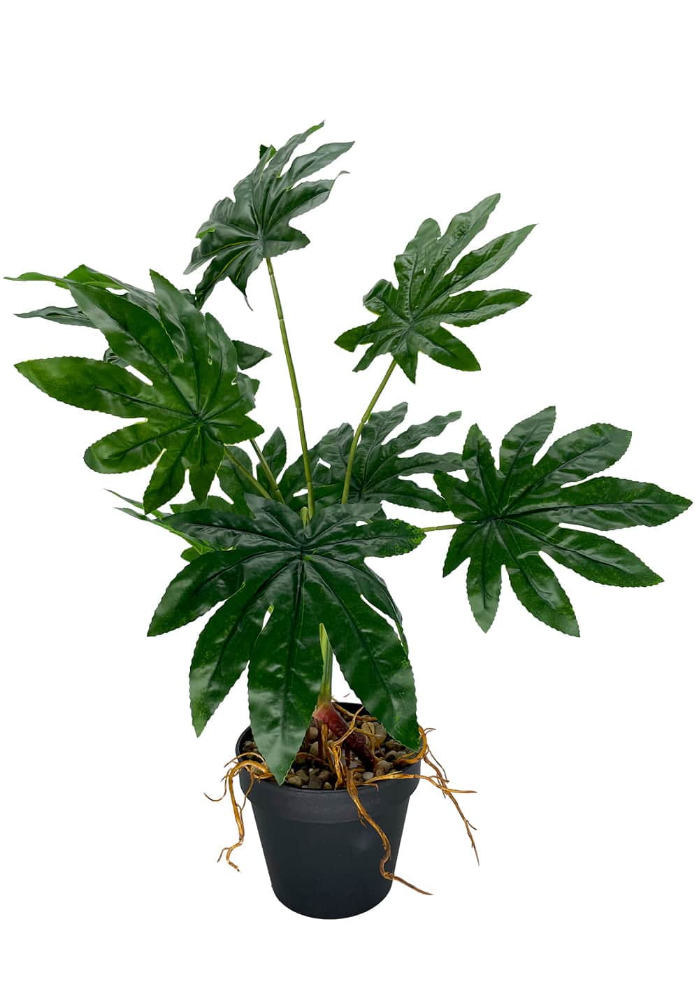 Plante Aralia artificielle 55 cm