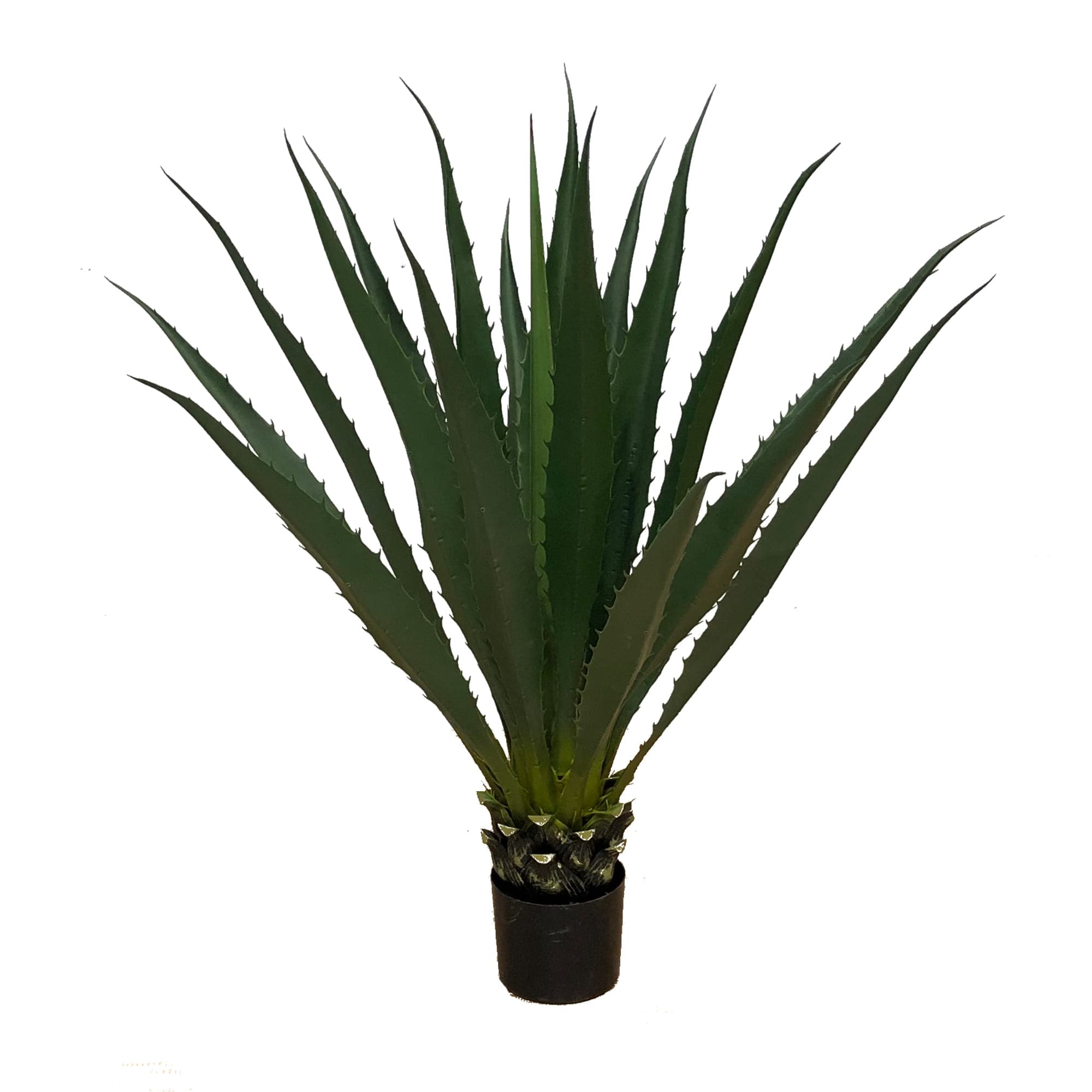 Decorative plant Agave Americana 100 cm