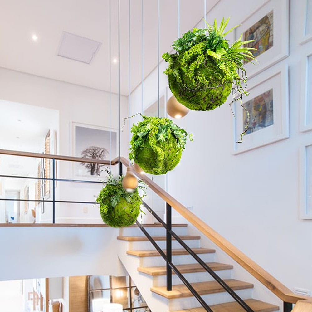 Boule de mousse kokedama 25 cm
